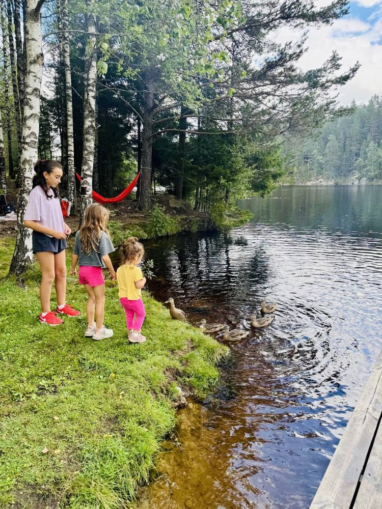 Three girls on a lakeshore watching ducks, with a red hammock in the birch trees